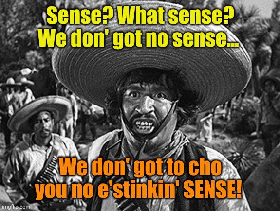 El Leebtardo Speaks: | Sense? What sense? We don' got no sense... We don' got to cho you no e'stinkin' SENSE! | image tagged in mexican | made w/ Imgflip meme maker