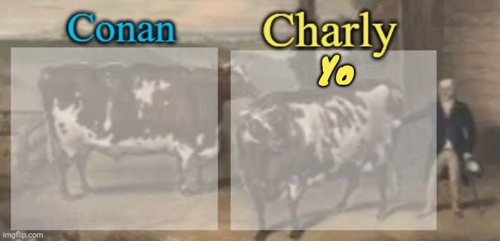 conan + charly cows temp v1 | Yo | image tagged in conan charly cows temp v1 | made w/ Imgflip meme maker