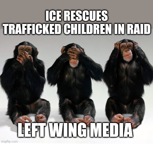 Three monkeys | ICE RESCUES TRAFFICKED CHILDREN IN RAID; LEFT WING MEDIA | image tagged in three monkeys | made w/ Imgflip meme maker