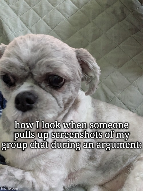 how I look when someone pulls up screenshots of my group chat during an argument: | made w/ Imgflip meme maker