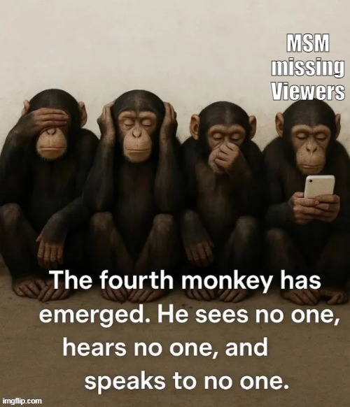 MSM missing Viewers | made w/ Imgflip meme maker