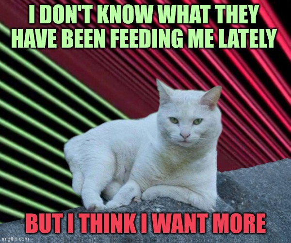 Special Muscaria Diet | I DON'T KNOW WHAT THEY HAVE BEEN FEEDING ME LATELY; BUT I THINK I WANT MORE | image tagged in feta,smudge,mushrooms,cat food,catnip,high | made w/ Imgflip meme maker