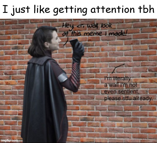 I'm an idiot sure. But I'm a highly intelligent idiot. | I just like getting attention tbh | image tagged in stormfront talking to a wall | made w/ Imgflip meme maker