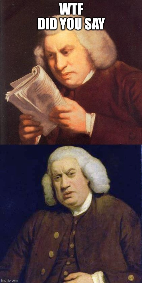 Dafuq did I just read | WTF DID YOU SAY | image tagged in dafuq did i just read | made w/ Imgflip meme maker