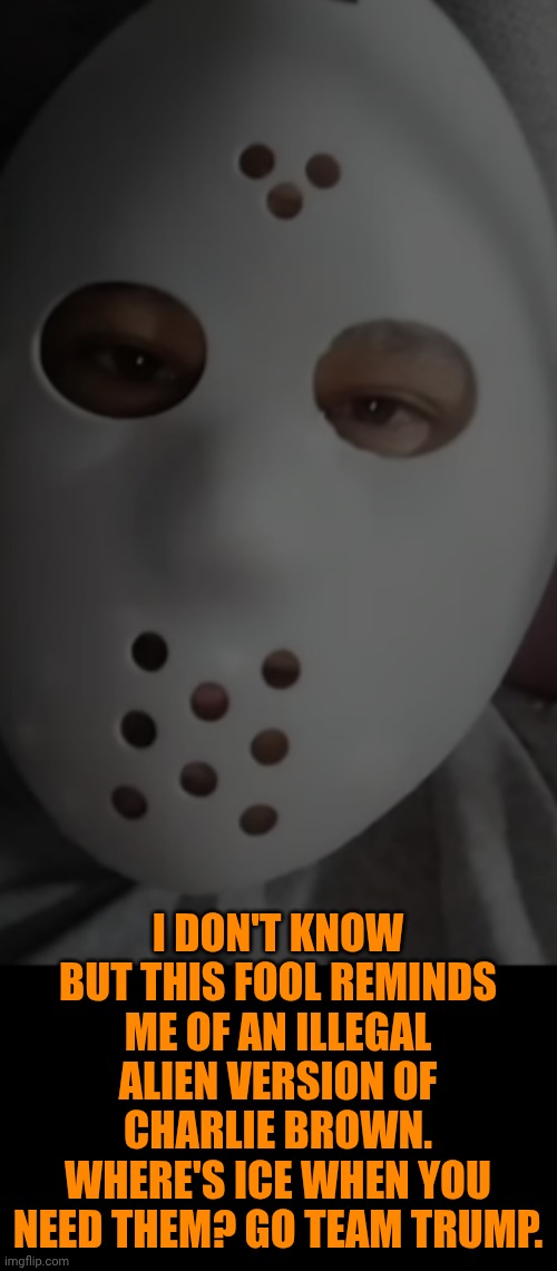 Funny | I DON'T KNOW BUT THIS FOOL REMINDS ME OF AN ILLEGAL ALIEN VERSION OF CHARLIE BROWN. WHERE'S ICE WHEN YOU NEED THEM? GO TEAM TRUMP. | image tagged in funny,halloween costume,jason voorhees,friday 13th jason,illegal aliens,president trump | made w/ Imgflip meme maker