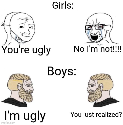 boys v girls | Girls:; You're ugly; No I'm not!!!! Boys:; I'm ugly; You just realized? | image tagged in chad we know | made w/ Imgflip meme maker