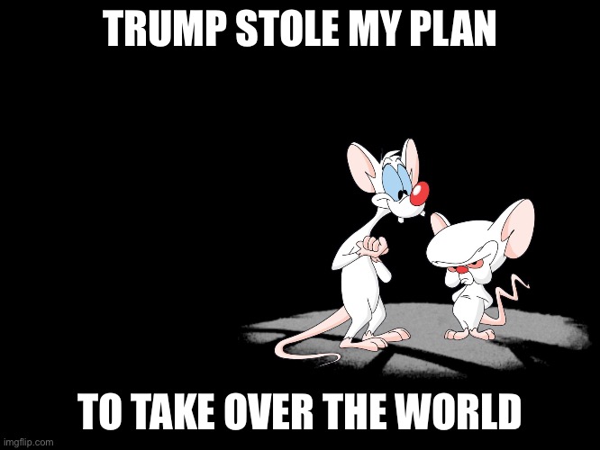 Pinky And The Brain | TRUMP STOLE MY PLAN; TO TAKE OVER THE WORLD | image tagged in pinky and the brain | made w/ Imgflip meme maker
