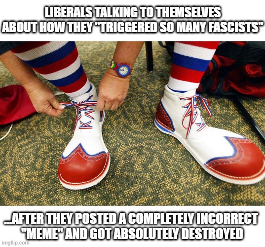 These people cannot be real | LIBERALS TALKING TO THEMSELVES ABOUT HOW THEY "TRIGGERED SO MANY FASCISTS"; ...AFTER THEY POSTED A COMPLETELY INCORRECT 
"MEME" AND GOT ABSOLUTELY DESTROYED | image tagged in clown shoes,funny,stupid liberals,the left can't meme | made w/ Imgflip meme maker