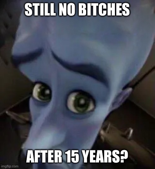 Megaloser | STILL NO BITCHES; AFTER 15 YEARS? | image tagged in megamind no b | made w/ Imgflip meme maker