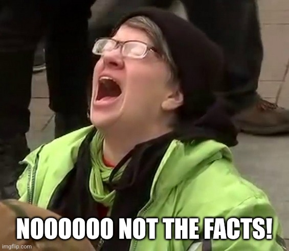 Crying liberal | NOOOOOO NOT THE FACTS! | image tagged in crying liberal | made w/ Imgflip meme maker