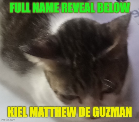 Ming mong | FULL NAME REVEAL BELOW; KIEL MATTHEW DE GUZMAN | image tagged in ming mong | made w/ Imgflip meme maker