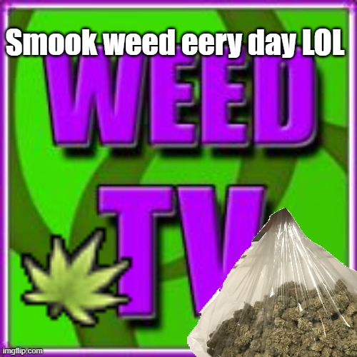 My new meme | Smook weed eery day LOL | image tagged in i smoke weed,im allowed to,my mom buys me weed | made w/ Imgflip meme maker