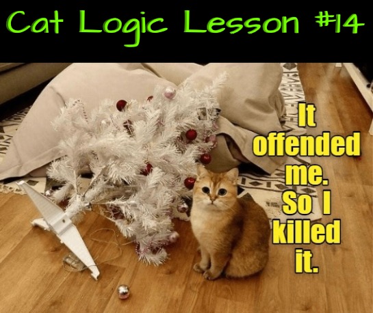Cat Logic Lesson #14 | Cat Logic Lesson #14 | image tagged in cats,funny cats,logic,illogical,life lessons,funny memes | made w/ Imgflip meme maker
