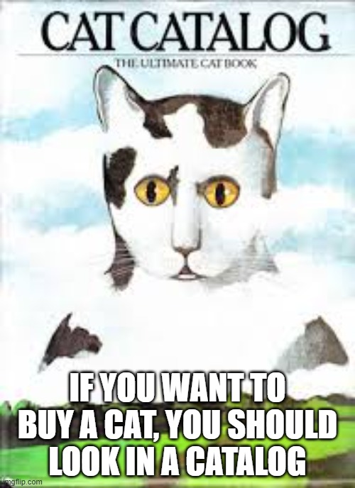 If you're looking to buy a cat, try using a CATalog.   -  funny  - | IF YOU WANT TO BUY A CAT, YOU SHOULD LOOK IN A CATALOG | image tagged in cats,funny,kittens,humor,play on words | made w/ Imgflip meme maker