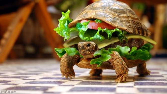High Quality Tortoise Samwich Blank Meme Template