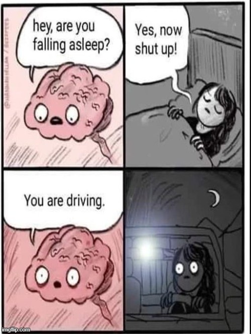 image tagged in brain,sleeping,driving | made w/ Imgflip meme maker