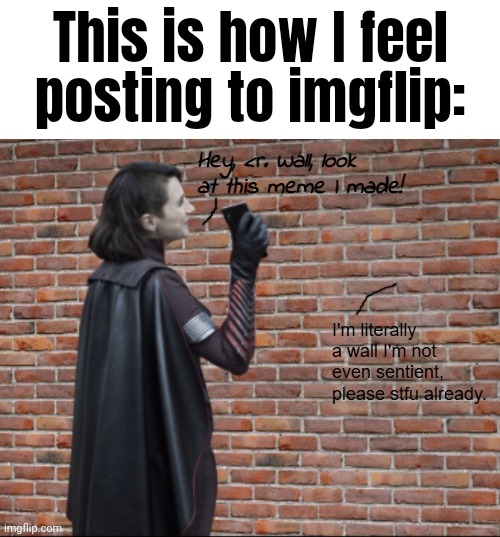 Definition of insanity. Or am I just really, REALLY stubborn? | This is how I feel posting to imgflip: | image tagged in stormfront talking to a wall | made w/ Imgflip meme maker