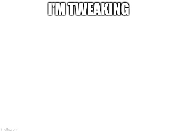 no I'm being fr | I'M TWEAKING | made w/ Imgflip meme maker