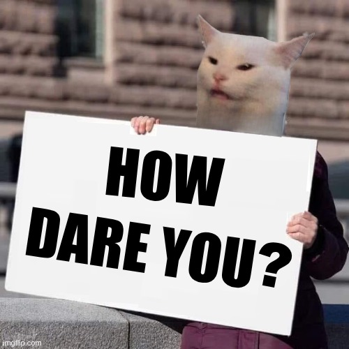 I ran halfway up the wall chasing the Laser | HOW; DARE YOU; ? | image tagged in kitteh thunberg,greta thunberg,how dare you,smudge,this is fine,cat | made w/ Imgflip meme maker