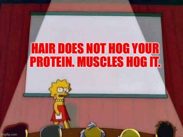 Lisa Simpson Speech | HAIR DOES NOT HOG YOUR PROTEIN. MUSCLES H0G IT. | image tagged in lisa simpson speech | made w/ Imgflip meme maker