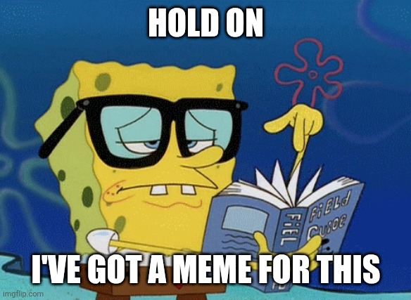 HOLD ON I'VE GOT A MEME FOR THIS | image tagged in spongebob with glasses searching | made w/ Imgflip meme maker