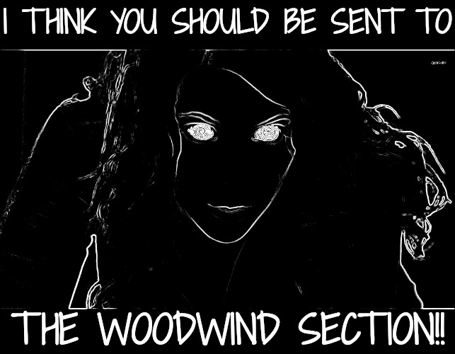 Hypnotizing | I THINK YOU SHOULD BE SENT TO THE WOODWIND SECTION!! | image tagged in hypnotizing | made w/ Imgflip meme maker