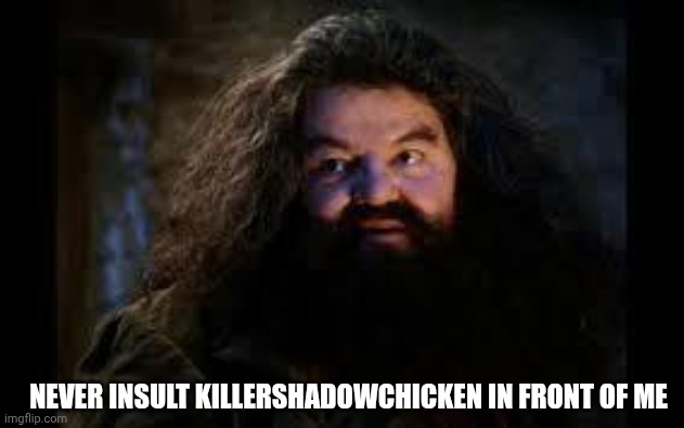 NEVER INSULT KILLERSHADOWCHICKEN IN FRONT OF ME | image tagged in hagrid yer a wizard | made w/ Imgflip meme maker