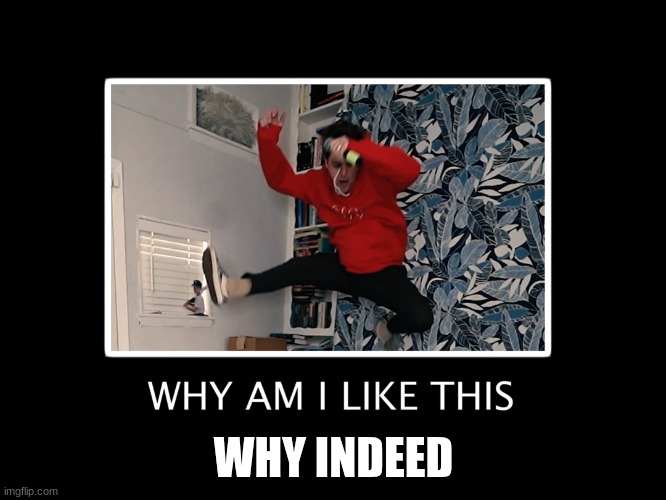Why am I like this | WHY INDEED | image tagged in why am i like this | made w/ Imgflip meme maker