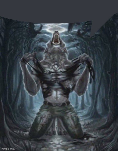 alpha wolf | image tagged in alpha wolf | made w/ Imgflip meme maker