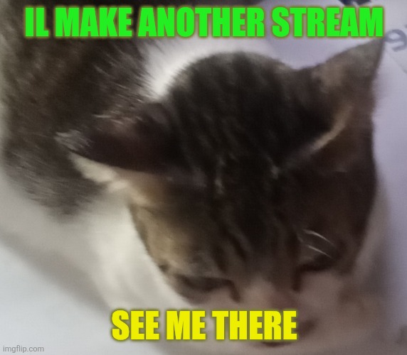 Ming mong | IL MAKE ANOTHER STREAM; SEE ME THERE | image tagged in ming mong | made w/ Imgflip meme maker