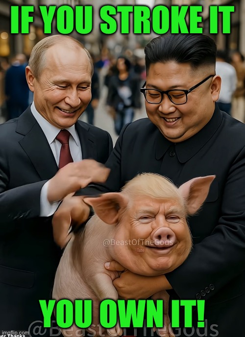 Trump | IF YOU STROKE IT; YOU OWN IT! | image tagged in trump | made w/ Imgflip meme maker