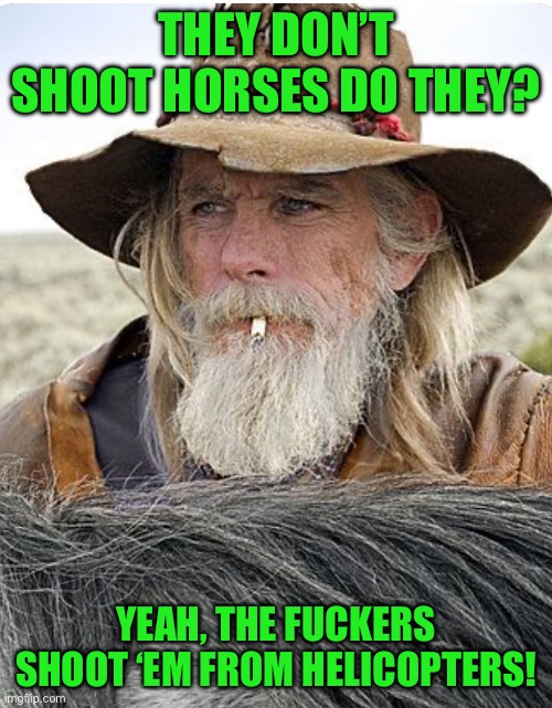 THEY DON’T SHOOT HORSES DO THEY? YEAH, THE FUCKERS SHOOT ‘EM FROM HELICOPTERS! | image tagged in cowboy | made w/ Imgflip meme maker
