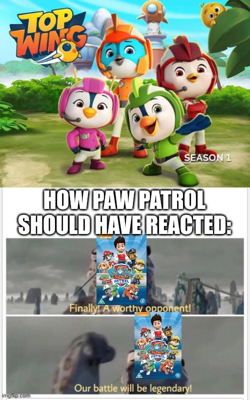 How come this has not really happened yet? | image tagged in battle,cartoons,memes,paw patrol,top wing | made w/ Imgflip meme maker
