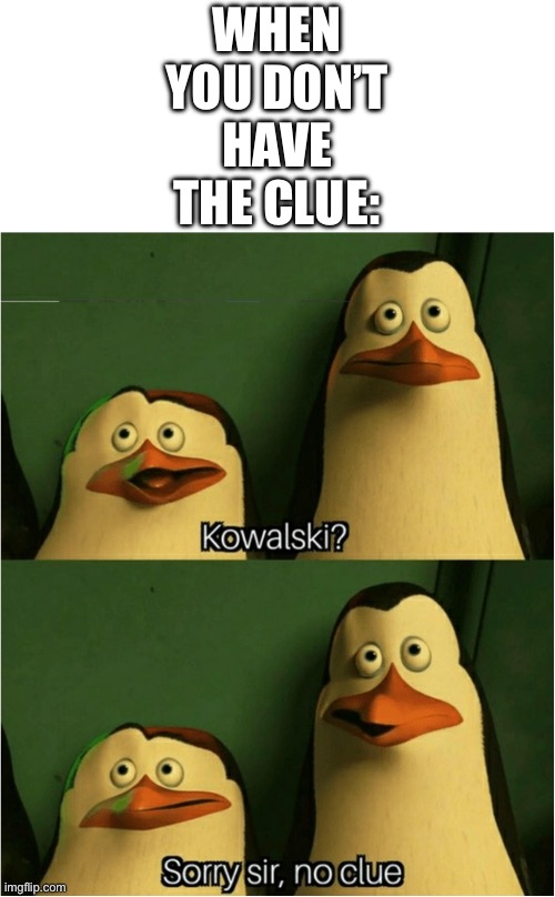Literally CLUELESS | WHEN YOU DON’T HAVE THE CLUE: | image tagged in sorry sir no clue,clueless,irony,coincidence | made w/ Imgflip meme maker