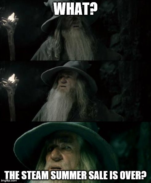 Confused Gandalf Meme | WHAT? THE STEAM SUMMER SALE IS OVER? | image tagged in memes,confused gandalf | made w/ Imgflip meme maker