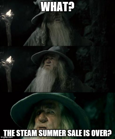 Confused Gandalf | WHAT? THE STEAM SUMMER SALE IS OVER? | image tagged in memes,confused gandalf | made w/ Imgflip meme maker