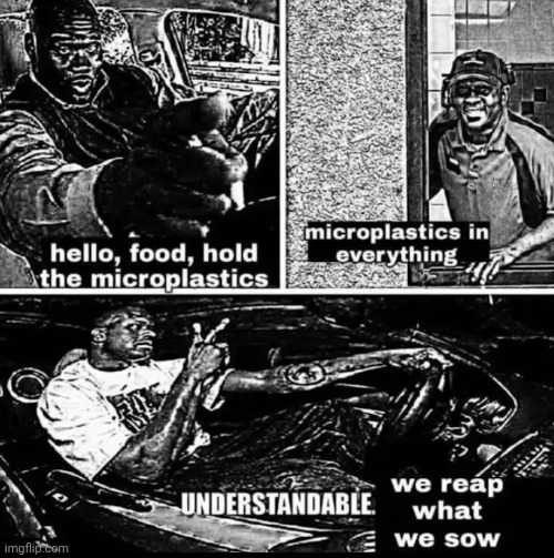 We reap microplastics what we food | image tagged in we reap microplastics what we food | made w/ Imgflip meme maker