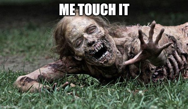 Walking Dead Zombie | ME TOUCH IT | image tagged in walking dead zombie | made w/ Imgflip meme maker