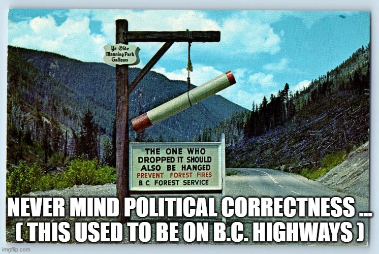 canadian politics | NEVER MIND POLITICAL CORRECTNESS ...
( THIS USED TO BE ON B.C. HIGHWAYS ) | image tagged in political meme | made w/ Imgflip meme maker