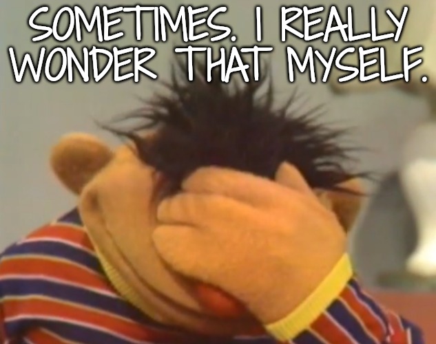 Ernie doh | SOMETIMES. I REALLY WONDER THAT MYSELF. | image tagged in ernie doh | made w/ Imgflip meme maker