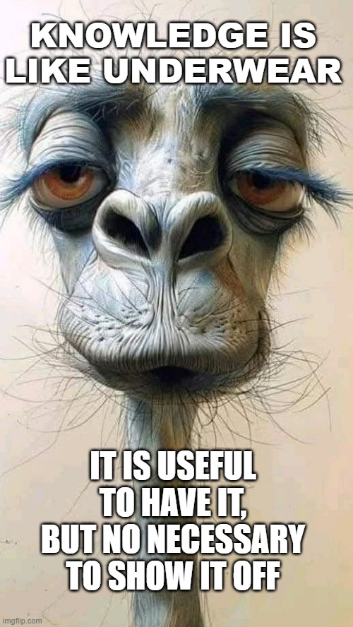 knowledge | KNOWLEDGE IS LIKE UNDERWEAR; IT IS USEFUL TO HAVE IT, BUT NO NECESSARY TO SHOW IT OFF | image tagged in wisdom | made w/ Imgflip meme maker