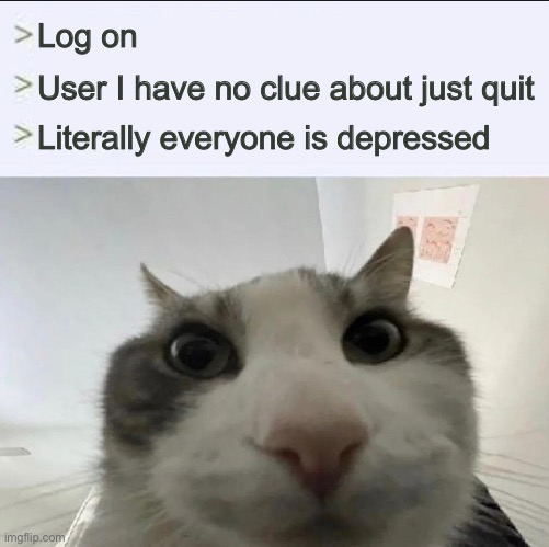 Happens all the time | Log on; User I have no clue about just quit; Literally everyone is depressed | image tagged in cat looks inside | made w/ Imgflip meme maker