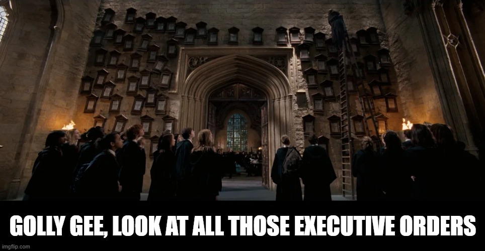 Trump Orders | GOLLY GEE, LOOK AT ALL THOSE EXECUTIVE ORDERS | image tagged in politics,trump | made w/ Imgflip meme maker