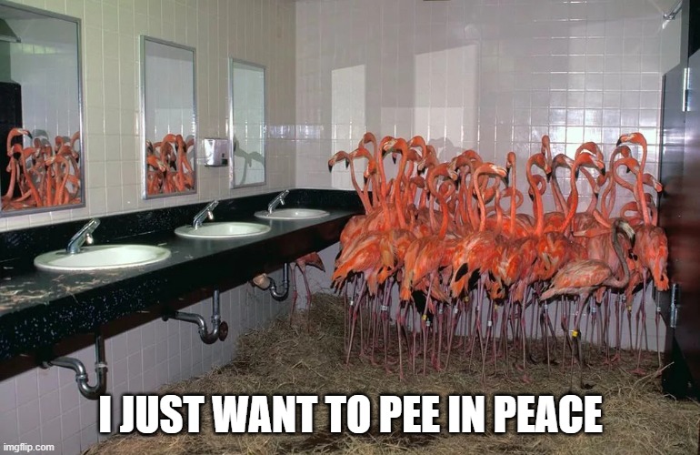 Flamingos | I JUST WANT TO PEE IN PEACE | image tagged in cursed image | made w/ Imgflip meme maker