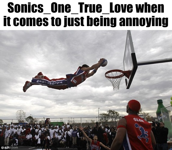slam dunk | Sonics_One_True_Love when it comes to just being annoying | image tagged in slam dunk | made w/ Imgflip meme maker