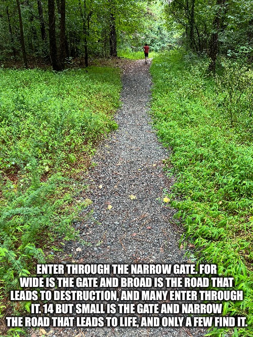The Narrow Path | ENTER THROUGH THE NARROW GATE. FOR WIDE IS THE GATE AND BROAD IS THE ROAD THAT LEADS TO DESTRUCTION, AND MANY ENTER THROUGH IT. 14 BUT SMALL IS THE GATE AND NARROW THE ROAD THAT LEADS TO LIFE, AND ONLY A FEW FIND IT. | image tagged in salvation,jesus,life,judgment,eternal life | made w/ Imgflip meme maker