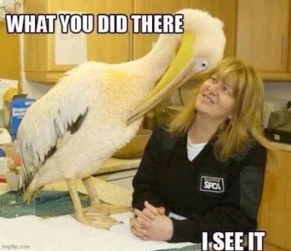 I see What You Did | image tagged in repost | made w/ Imgflip meme maker