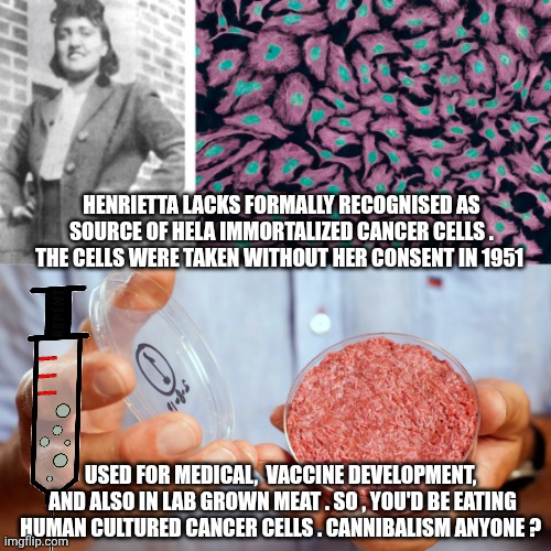 Henrietta Lacks meme | HENRIETTA LACKS FORMALLY RECOGNISED AS SOURCE OF HELA IMMORTALIZED CANCER CELLS . THE CELLS WERE TAKEN WITHOUT HER CONSENT IN 1951; USED FOR MEDICAL,  VACCINE DEVELOPMENT,  AND ALSO IN LAB GROWN MEAT . SO , YOU'D BE EATING HUMAN CULTURED CANCER CELLS . CANNIBALISM ANYONE ? | image tagged in vaccines | made w/ Imgflip meme maker