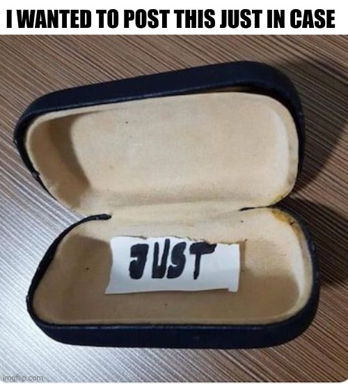I Wanted To Posted This Just In Case | I WANTED TO POST THIS JUST IN CASE | image tagged in chrisjoines1 | made w/ Imgflip meme maker