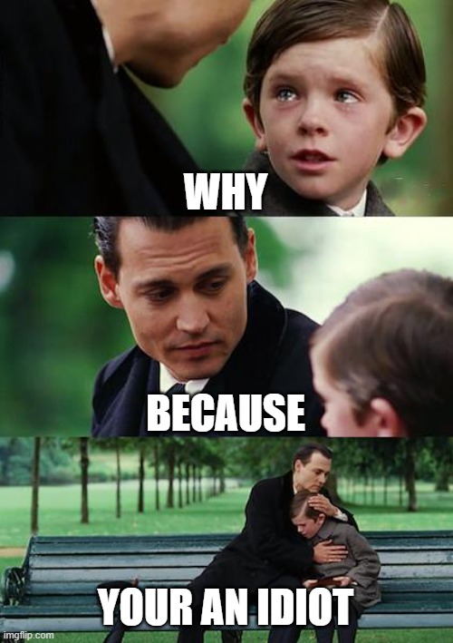 Finding Neverland | WHY; BECAUSE; YOUR AN IDIOT | image tagged in memes,finding neverland | made w/ Imgflip meme maker